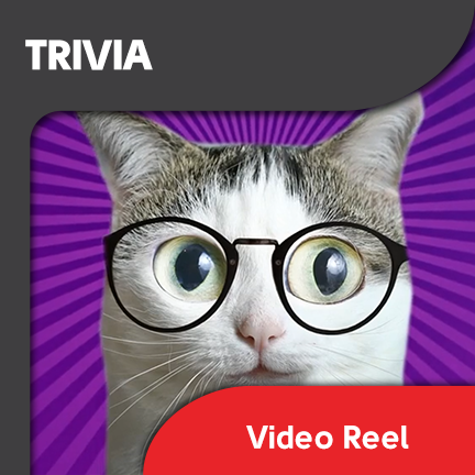 trivia