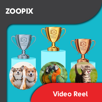 ZooPix